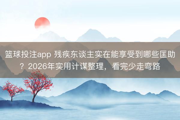 篮球投注app 残疾东谈主实在能享受到哪些匡助?2026年实用计谋整理,看完少走弯路