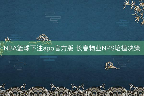 NBA篮球下注app官方版 长春物业NPS培植决策