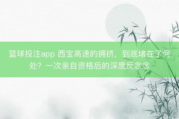 篮球投注app 西宝高速的拥挤,到底堵在了何处?一次亲自资格后的深度反念念