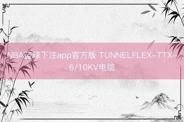 NBA篮球下注app官方版 TUNNELFLEX-TTX-6/10KV电缆