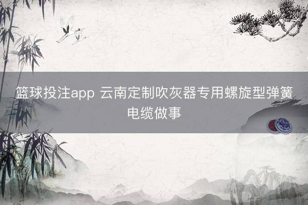 篮球投注app 云南定制吹灰器专用螺旋型弹簧电缆做事