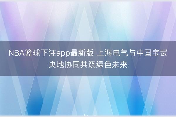 NBA篮球下注app最新版 上海电气与中国宝武央地协同共筑绿色未来